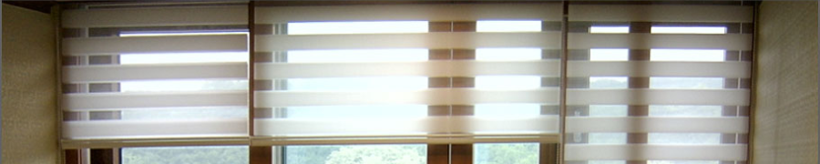 Roller Shades Banner