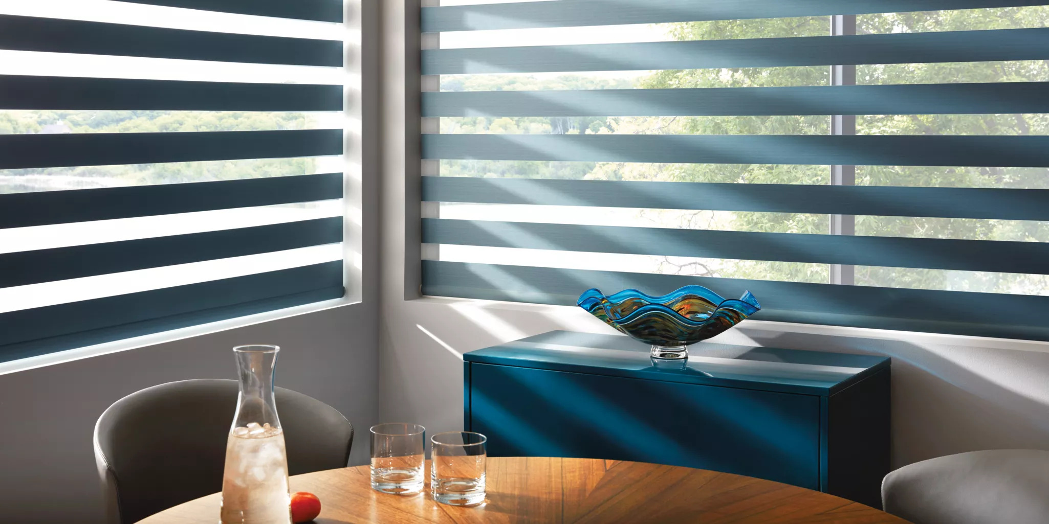 Designer Roller Shades in Pegasus